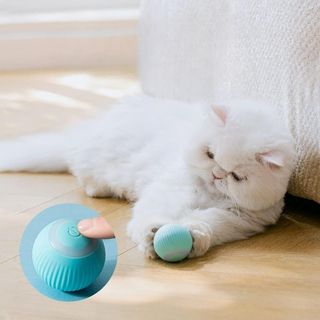 Cat Dancing Ball