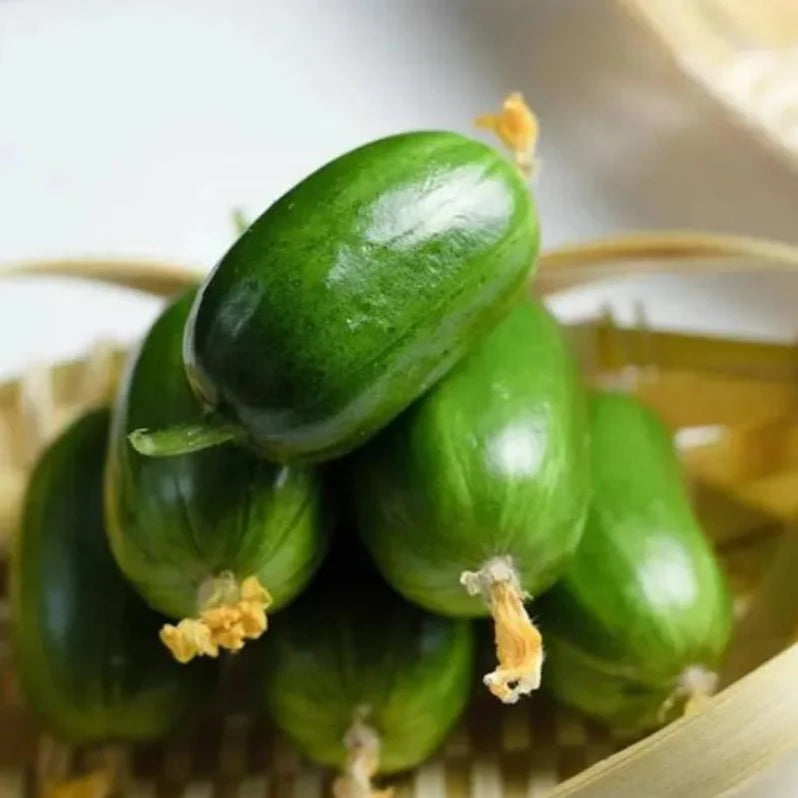 Jade Lady Cucumber Seeds